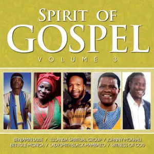 Spirit of Gospel, Vol. 3 — Various Artists