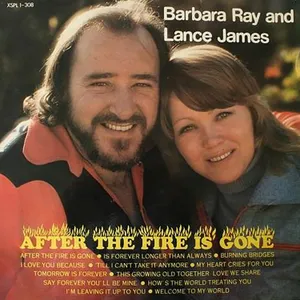 After the Fire Is Gone album cover