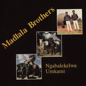 Ngabalekelwa Umkami album cover