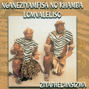 Ziyaphel' Insizwa — Nganeziyamfisa No Khamba Lomvaleliso