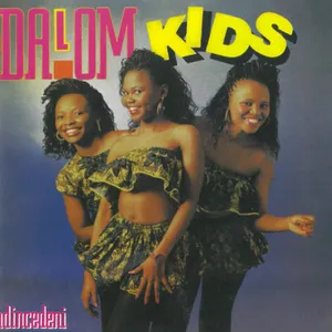 Ndincedeni album cover