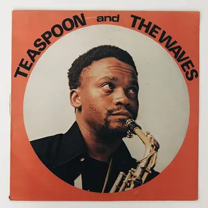 Teaspoon and The Waves — Teaspoon and The Waves