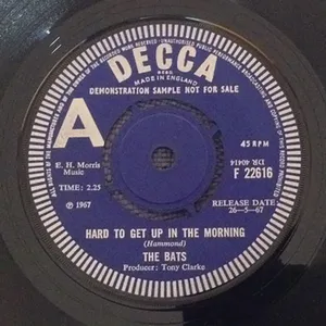Hard to Get Up in the Morning — The Bats