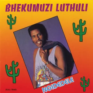 Ngidedele album cover
