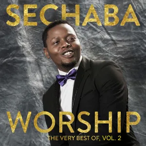 Worship: The Very Best of, Vol. 2 album cover