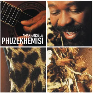 Amakhansela — Phuzekhemisi