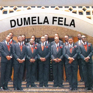 Dumela Fela album cover