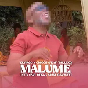 Malume — Elvirgo, Chicco feat. TallexQ