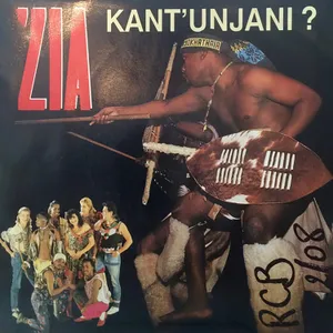 Kant' Unjani? + Take a Chance (Sugar Boy) album cover