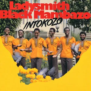 Intokozo album cover