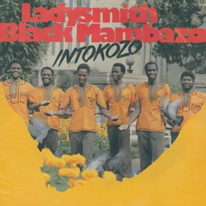 Intokozo album cover
