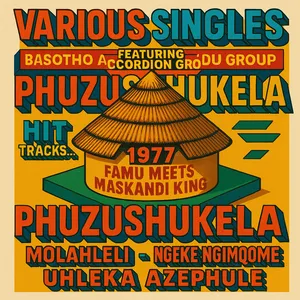 Basotho Accordion Group_singles — various