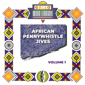 African Pennywhistle Jives, Vol. 1 — Gallo Moods