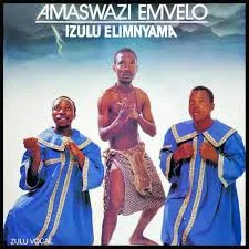 Izulu Elimnyama album cover