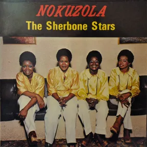 Nokuzola album cover