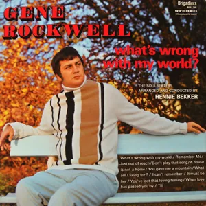 What's Wrong with My World? album cover