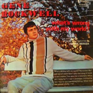 What's Wrong with My World? — Gene Rockwell