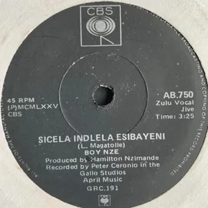 Izintombi Zesi Manje Manje_singles — various