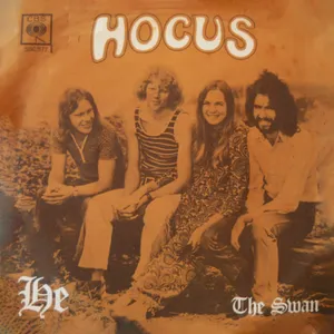 The Swan album cover