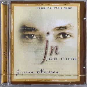 Gijima Nsizwe album cover