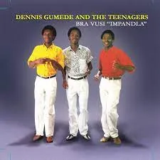 Bra Vusi Impandla album cover