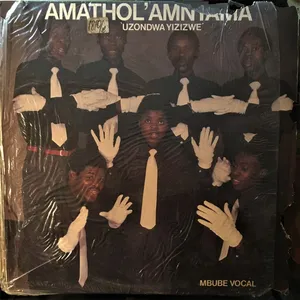 Uzondwa Yizizwe album cover
