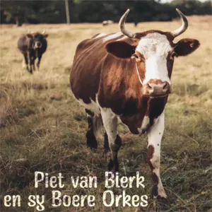 GOU! GOU! GOU! — Piet Van Blerk En Sy Orkes