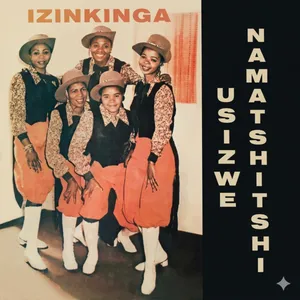 Izinkinga — Usizwe Namatshitshi
