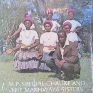 Nwe Mashaka Ndzilaviseni album cover
