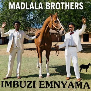 Ngiswele Awaphiko — Uvemvame