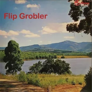 My Ou Ghitaar — Flip Grobler