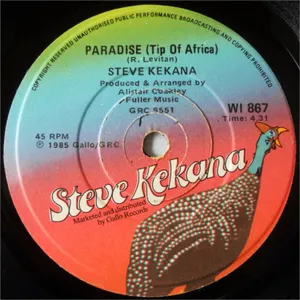 Paradise (Tip Of Africa)+(All I Need Is Here) In Africa album cover