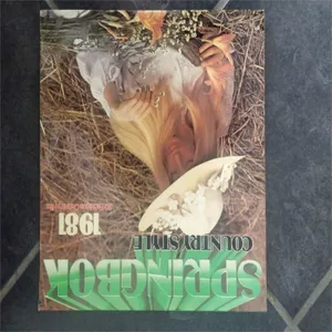 Springbok Country Style 1981 — Springbok Session Band