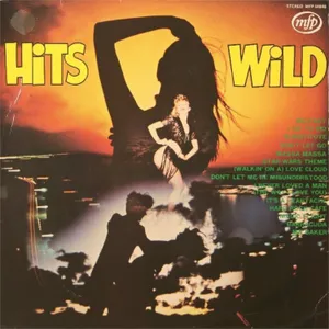 Hits Wild — The Hits Wild Band