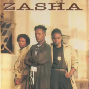 Stop That Game — Zasha