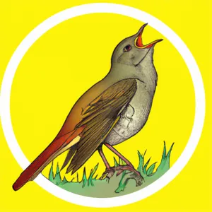 Sing, Nagtegaal, Sing! album cover