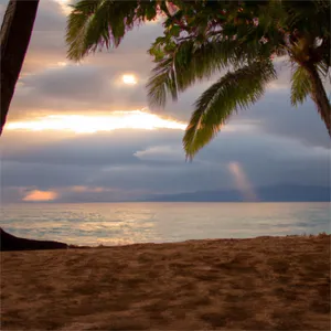 Strelende Hawaiiese Melodiee — Elise Kruger