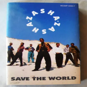 Save The World — Zasha
