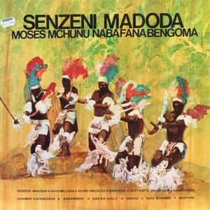 Senzeni Madoda album cover