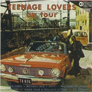 On Tour — Teenage Lovers