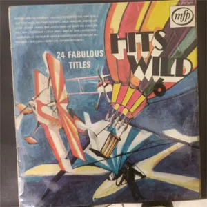 Hits Wild No. 6 — Hits Wild Session Band
