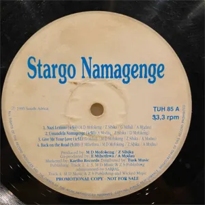 Nazi Lezinto album cover