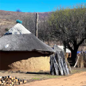 Khomo Tsa Ntate album cover