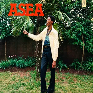 The Asea — The Asea