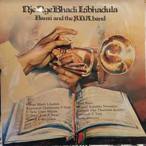 Nje Nge Bhadi Libhadula album cover