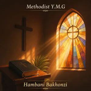 Hambani Bakhonzi album cover