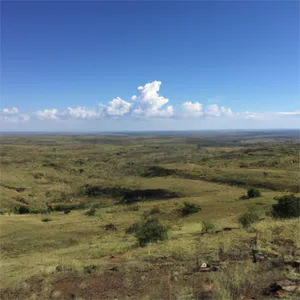 Vrystaat Polka — Dirkie Uys