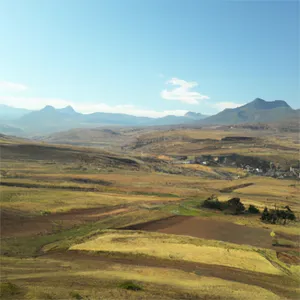 Ntebo — Theophilus Phala