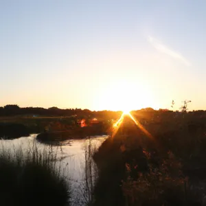 Mmamati album cover