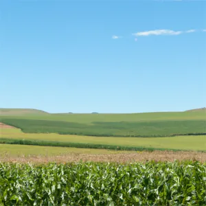 Mielieblare album cover
